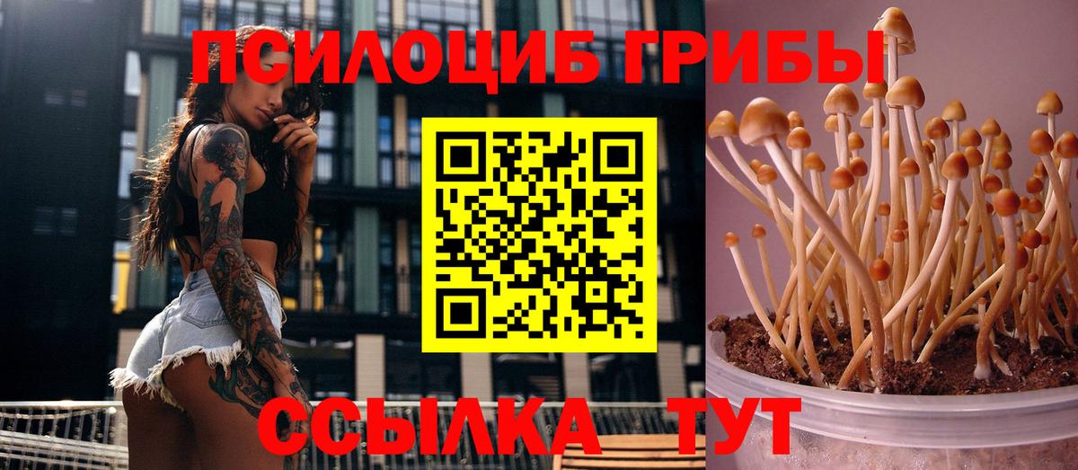 Удомля  Галлюциногенные грибы ЛСД  Вход с VPN 
