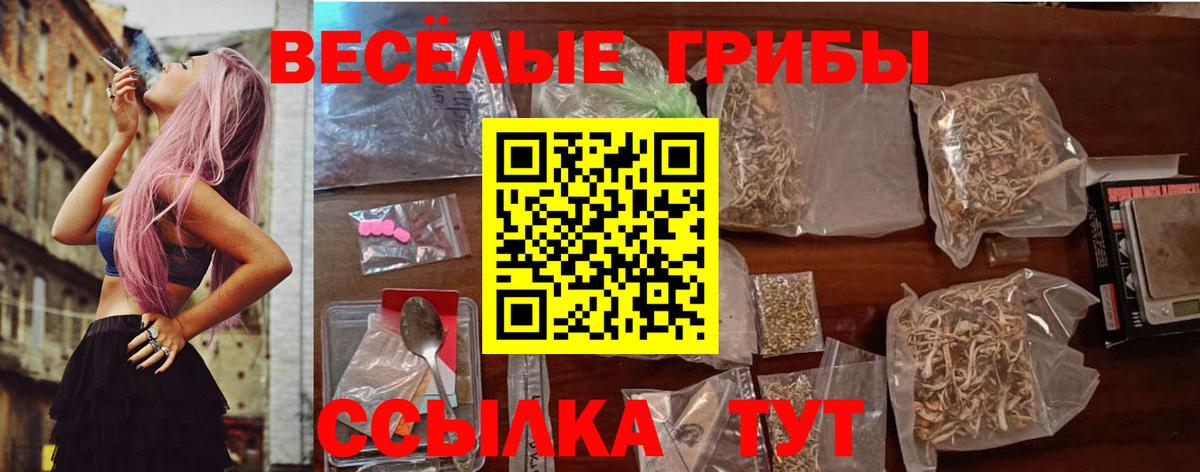 Галлюциногенные грибы Psilocybe Удомля